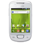 Samsung Galaxy mini plus 4G (GT-S5570)