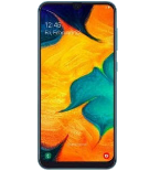 Samsung Galaxy A30s (SM-A307gm)