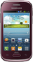 Samsung Galaxy Young Plus (gt-s6293t)