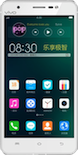 Vivo X710L