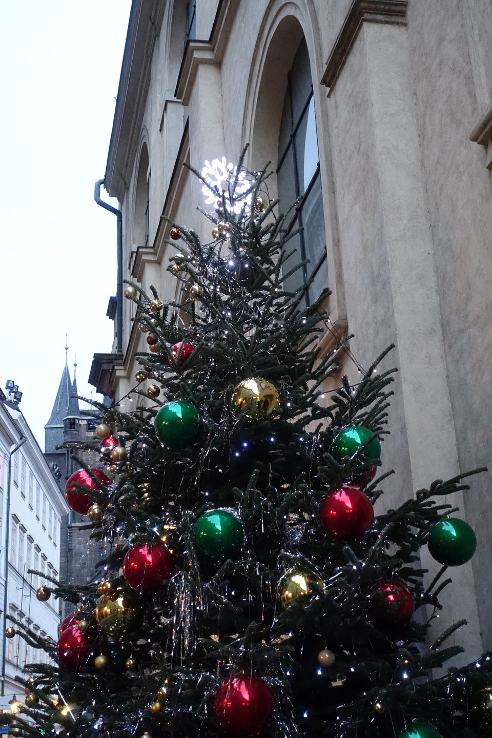 Stromeček v Karlově ulici