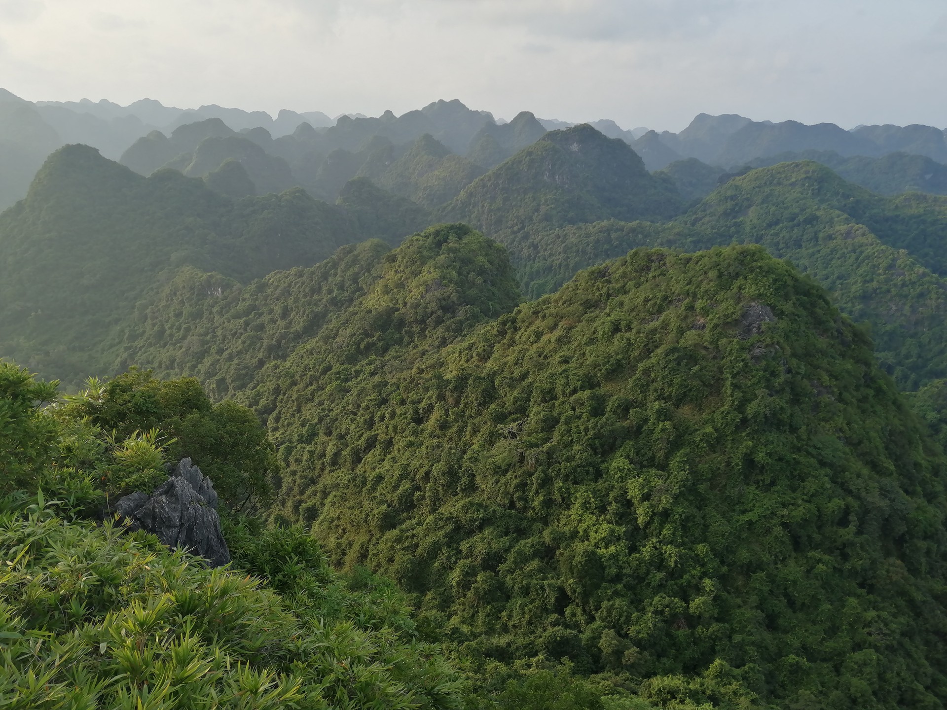 Cat Ba National Park