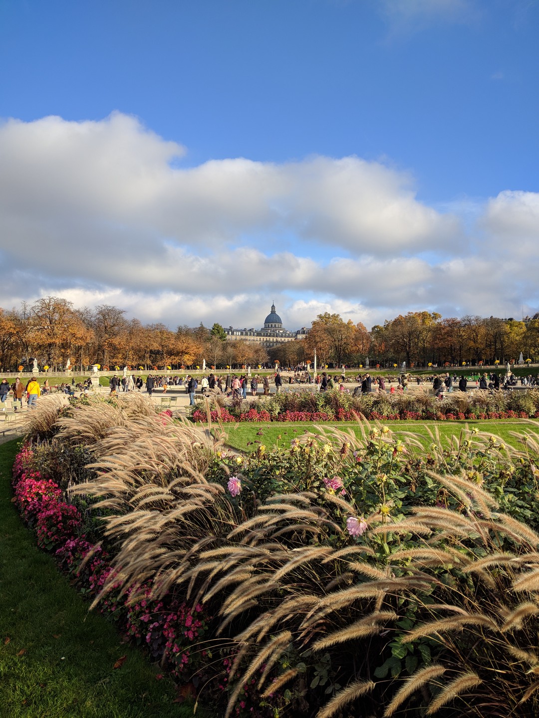 Le jardin du Luxembourg