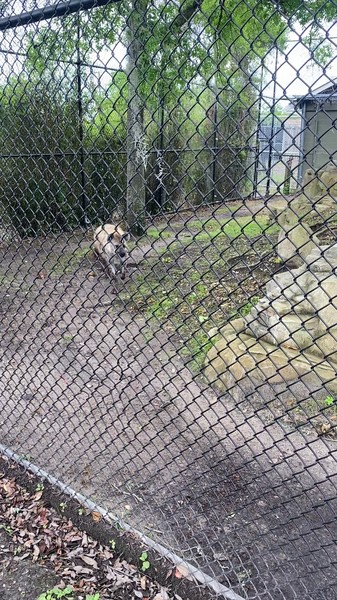 No name
