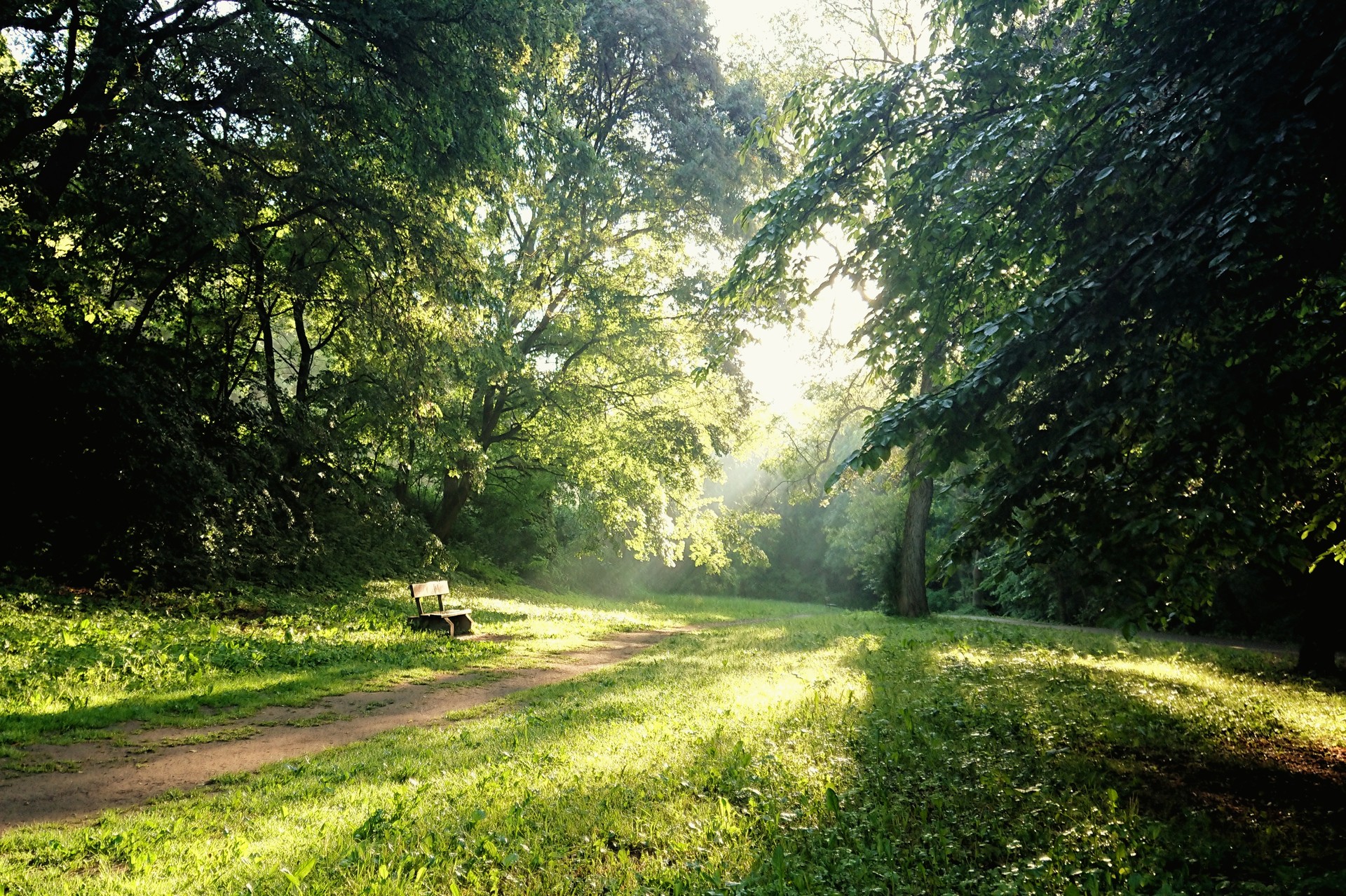 Lavička v Prokopském údolí v ranním slunci