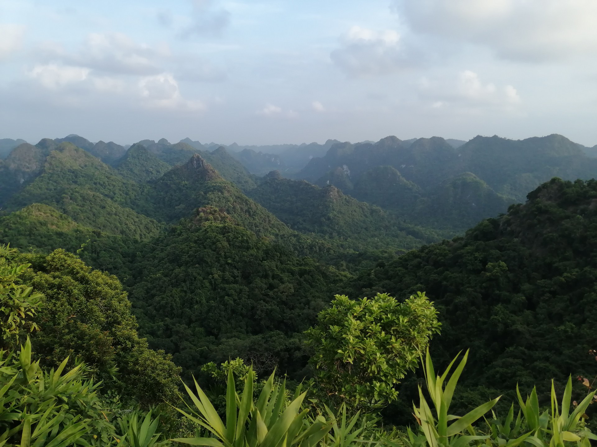 Cat Ba National Park